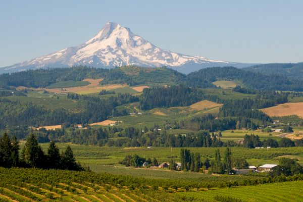 A picturesque landscape featuring a mountainous peak in the background and rolling green hills and fields in the foreground.