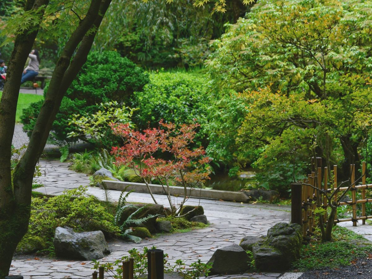 A serene garden path with lush greenery, trees, and a wooden fence creates a peaceful atmosphere in the image.
