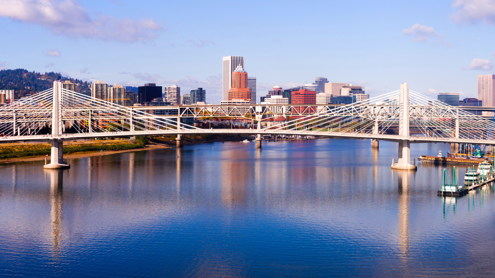 A cable-stayed bridge crosses a calm river, with a city skyline featuring tall buildings in the background under a clear blue sky.