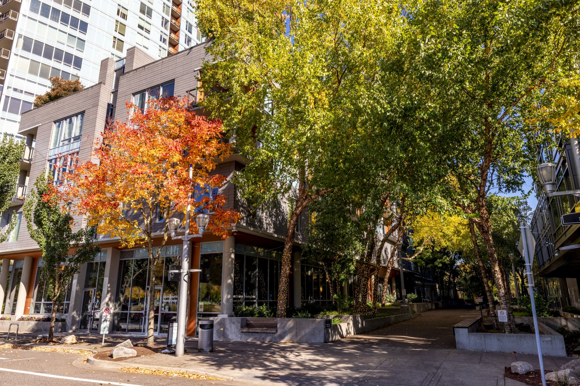 A sunny urban street with trees showing autumn colors, modern buildings, storefronts, and a shaded sidewalk along a small plaza.